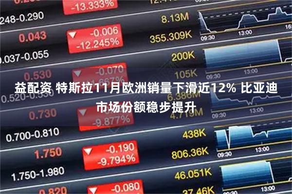 益配资 特斯拉11月欧洲销量下滑近12% 比亚迪市场份额稳步提升