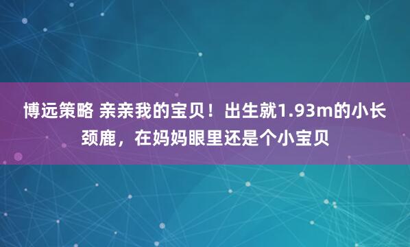 博远策略 亲亲我的宝贝！出生就1.93m的小长颈鹿，在妈妈眼里还是个小宝贝
